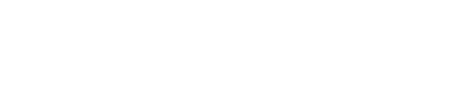 NavalX white logo