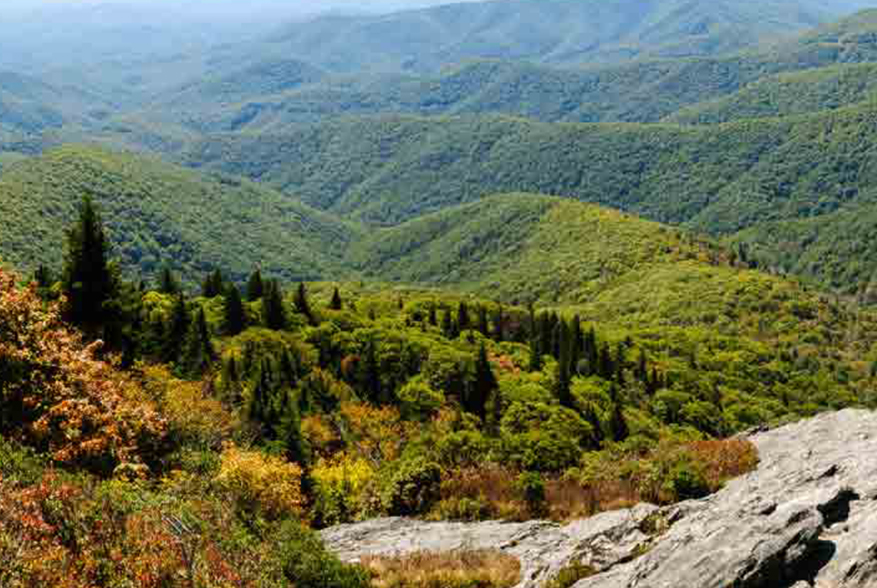Rainbow Row in Charleston, South Carolina, USA